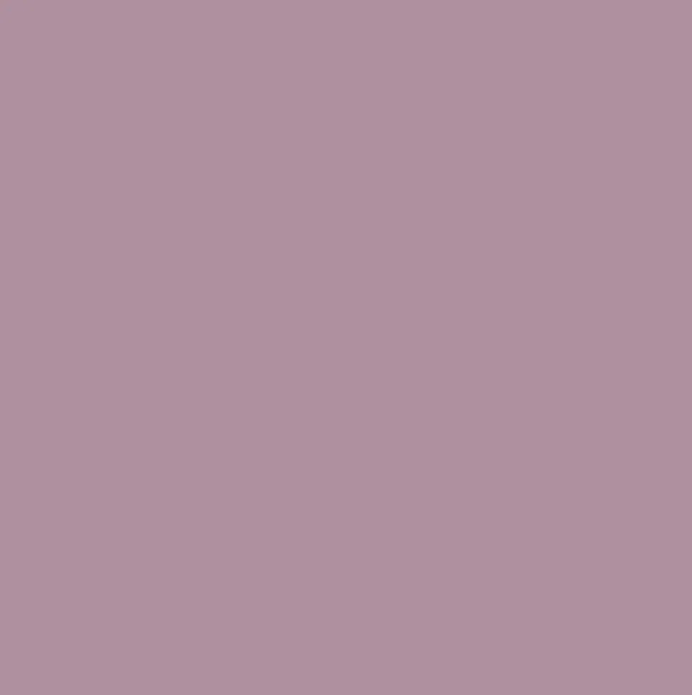 Divano letto con scrittoi estraibili 2 posti letto Smart linea Fly finitura Nuvola Frassino, Avio e Calce