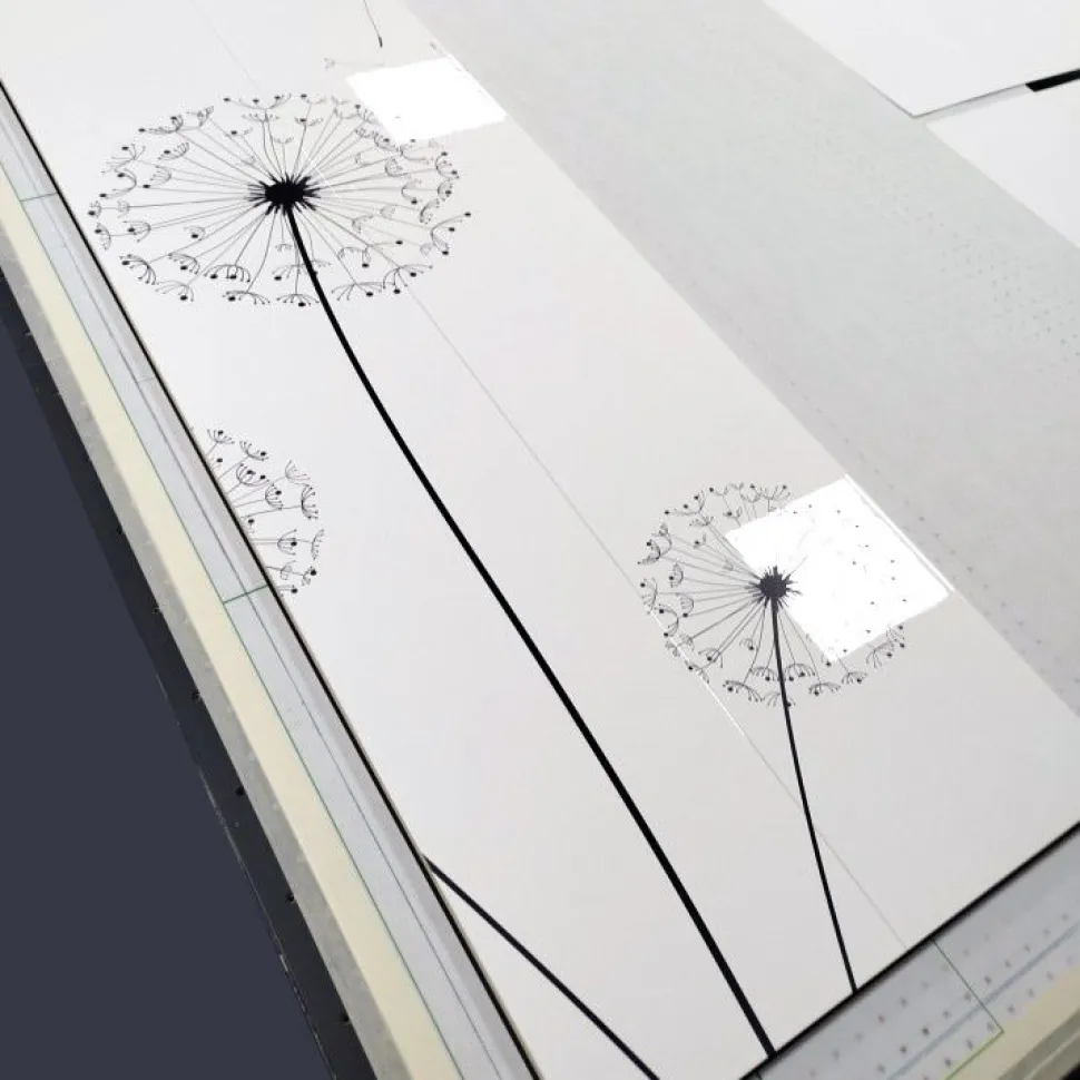 Guardaroba due ante linea Basic in finitura Bianco Lucido con grafica soffioni