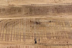 Madia 2 ante e 3 cassetti Elmer in legno d'acacia disponibile in 2 misure
