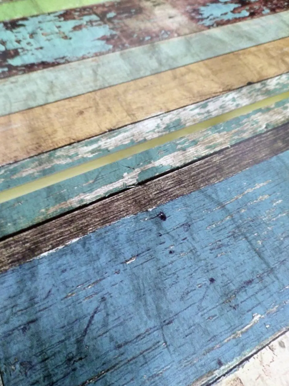 Madia 3 ante linea Clear Fancy in Bianco Opaco serigrafata WOOD