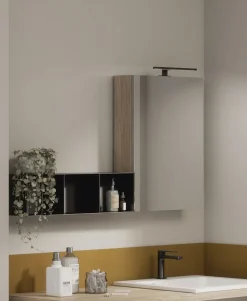 Pensile Specchio contenitore con 1 anta tutto specchio disponibile in 5 misure e vari colori