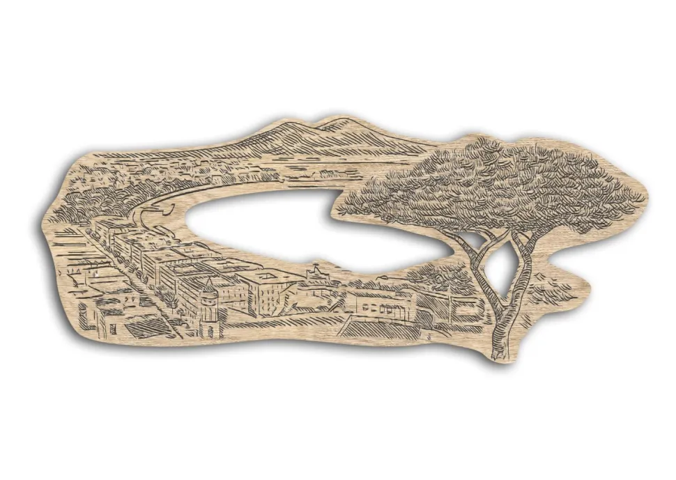 Quadro Golfo di Napoli in legno