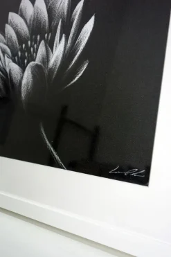 Quadro su cornice in legno "fiore" Leonardo Criolani