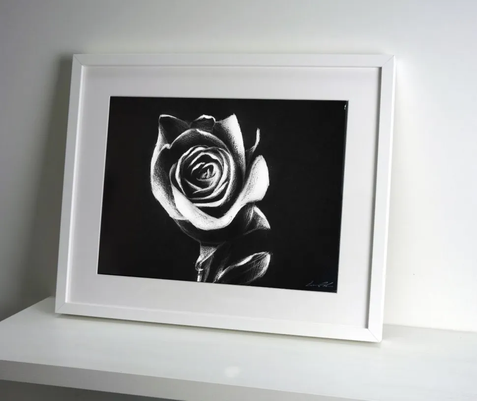 Quadro su cornice in legno, Rosa bianca, di Leonardo Criolani