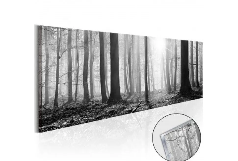 Quadro su vetro acrilico Black&White Wood