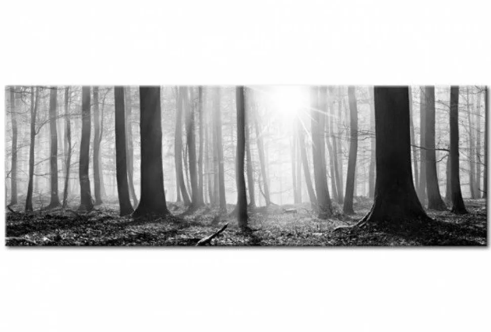 Quadro su vetro acrilico Black&White Wood