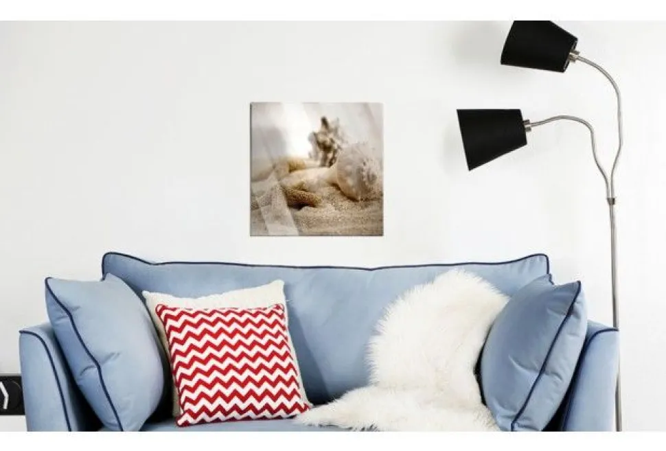 Quadro su vetro acrilico Conchiglie