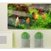 Quadro su vetro acrilico Fish Friend