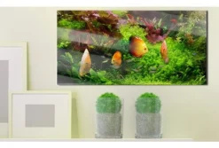 Quadro su vetro acrilico Fish Friend