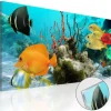Quadro su vetro acrilico Fish