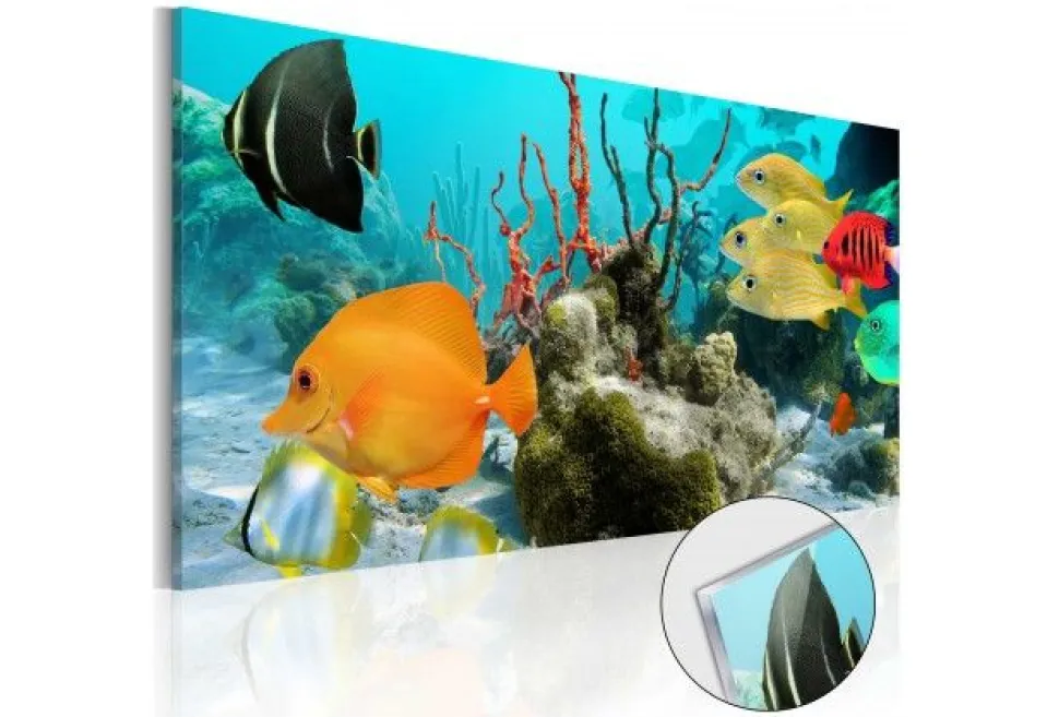 Quadro su vetro acrilico Fish