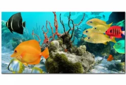 Quadro su vetro acrilico Fish