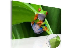 Quadro su vetro acrilico Frog