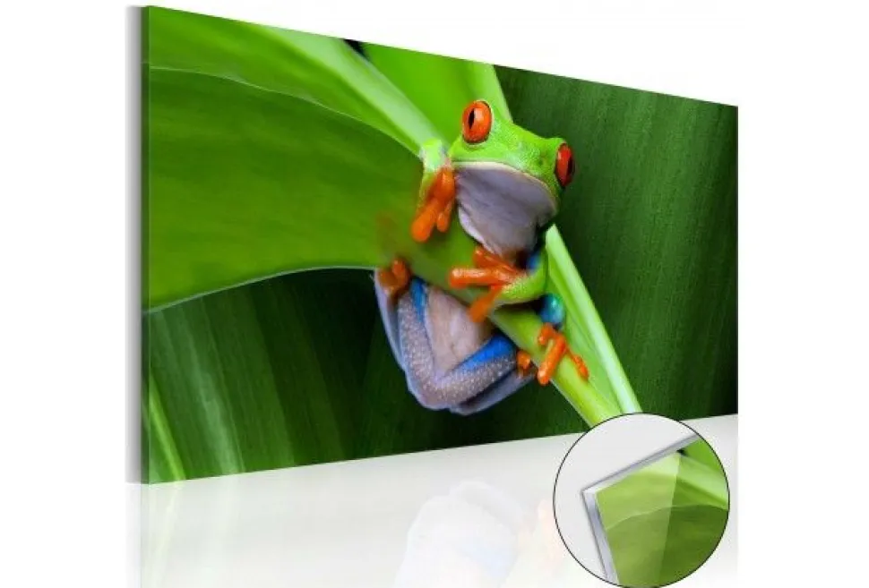 Quadro su vetro acrilico Frog
