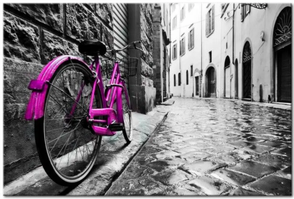 Quadro su vetro acrilico Pink BIke