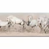 Quadro su vetro acrilico Race Horse
