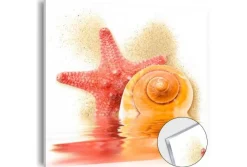 Quadro su vetro acrilico Starfish