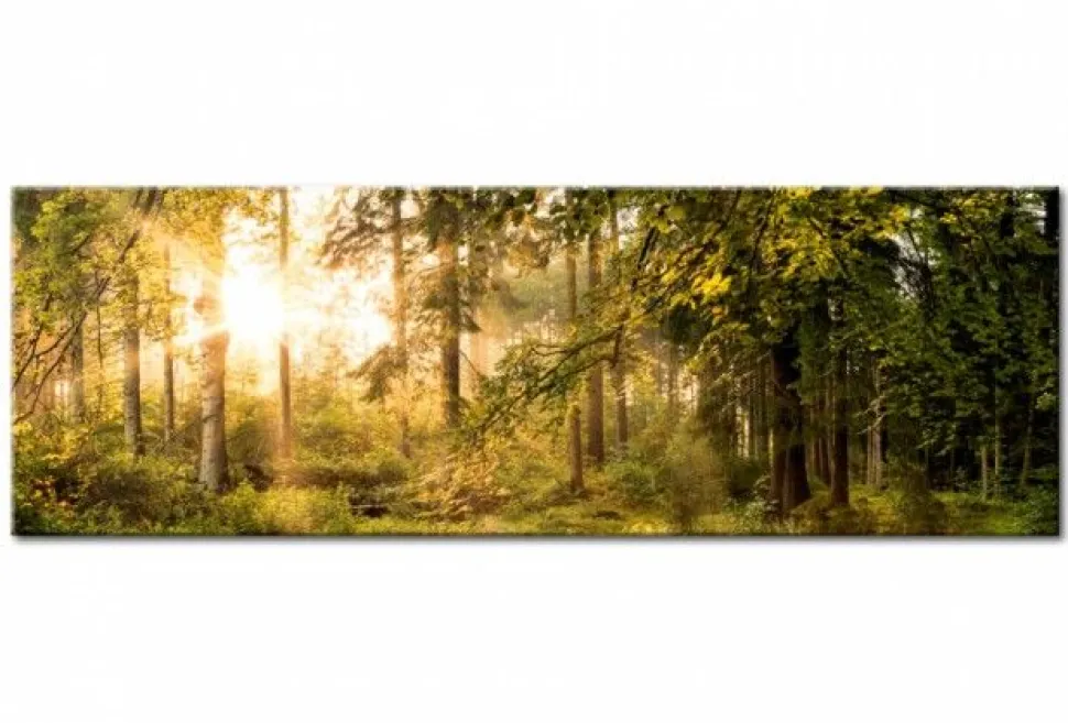 Quadro su vetro acrilico Summer Greenwood