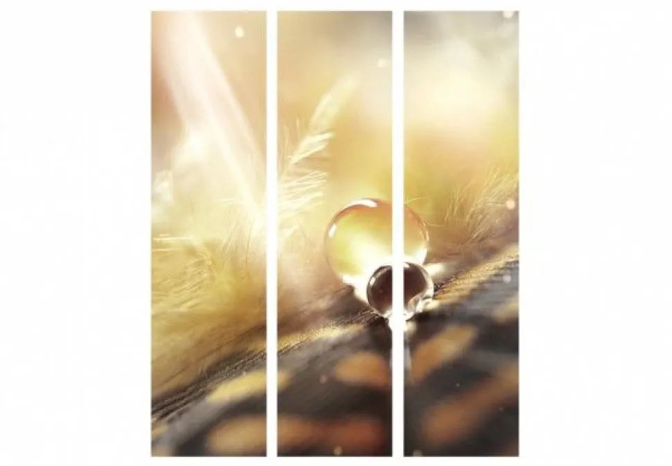 Separè Dew 2
