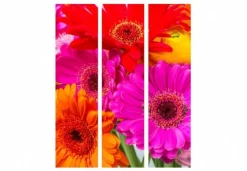 Separè Gerbera 2