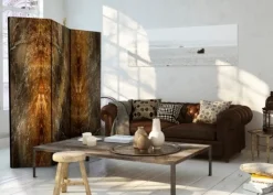 Separè Madera 2