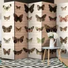 Separè Mariposas