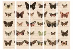 Separè Mariposas
