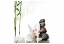 Separè Orchidea 2