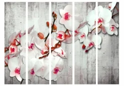 Separè Orchidea Rosa