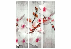 Separè Orchidea Rosa 2