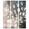 Separè Particle 2