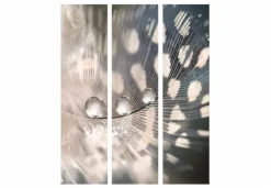 Separè Particle 2