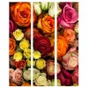 Separè Roses