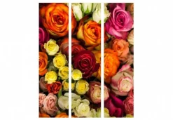 Separè Roses