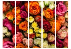 Separè Roses 2