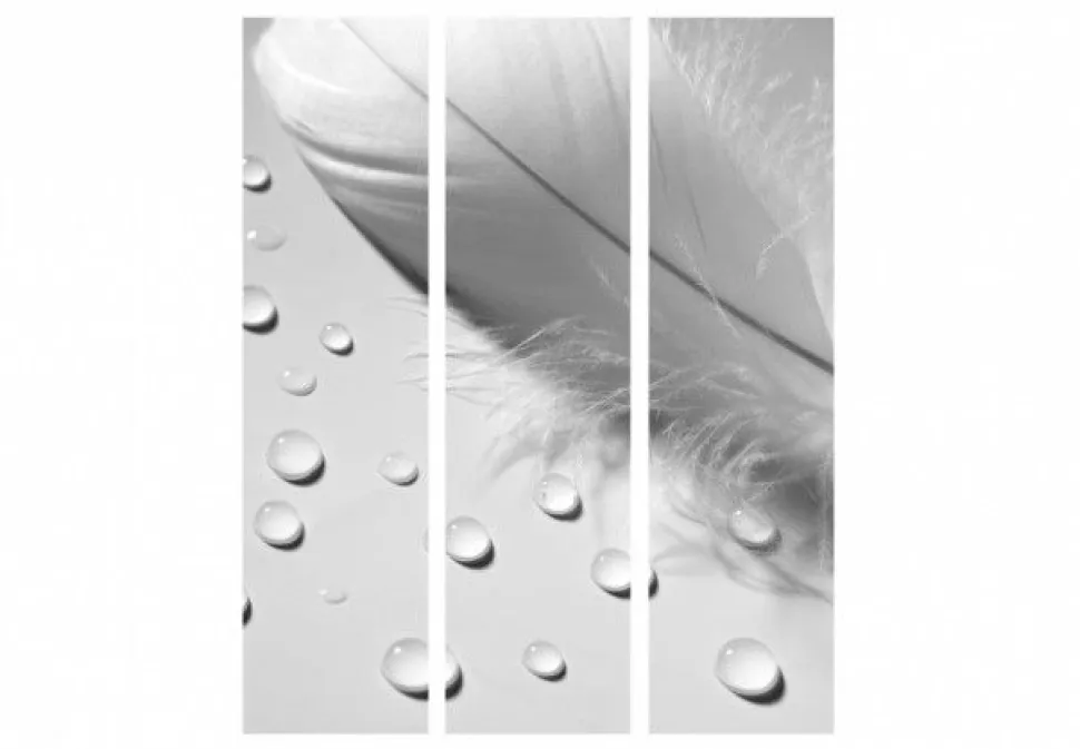 Separè Tear 2