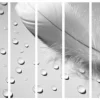 Separè Tear