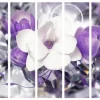 Separè Violet 2
