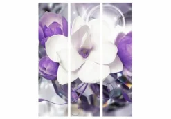 Separè Violet