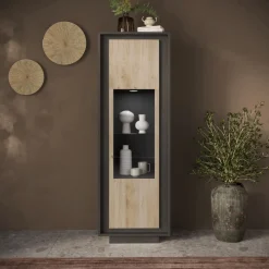 Vetrina 1 anta battente linea Natural in finitura Lava e Rovere Cadiz